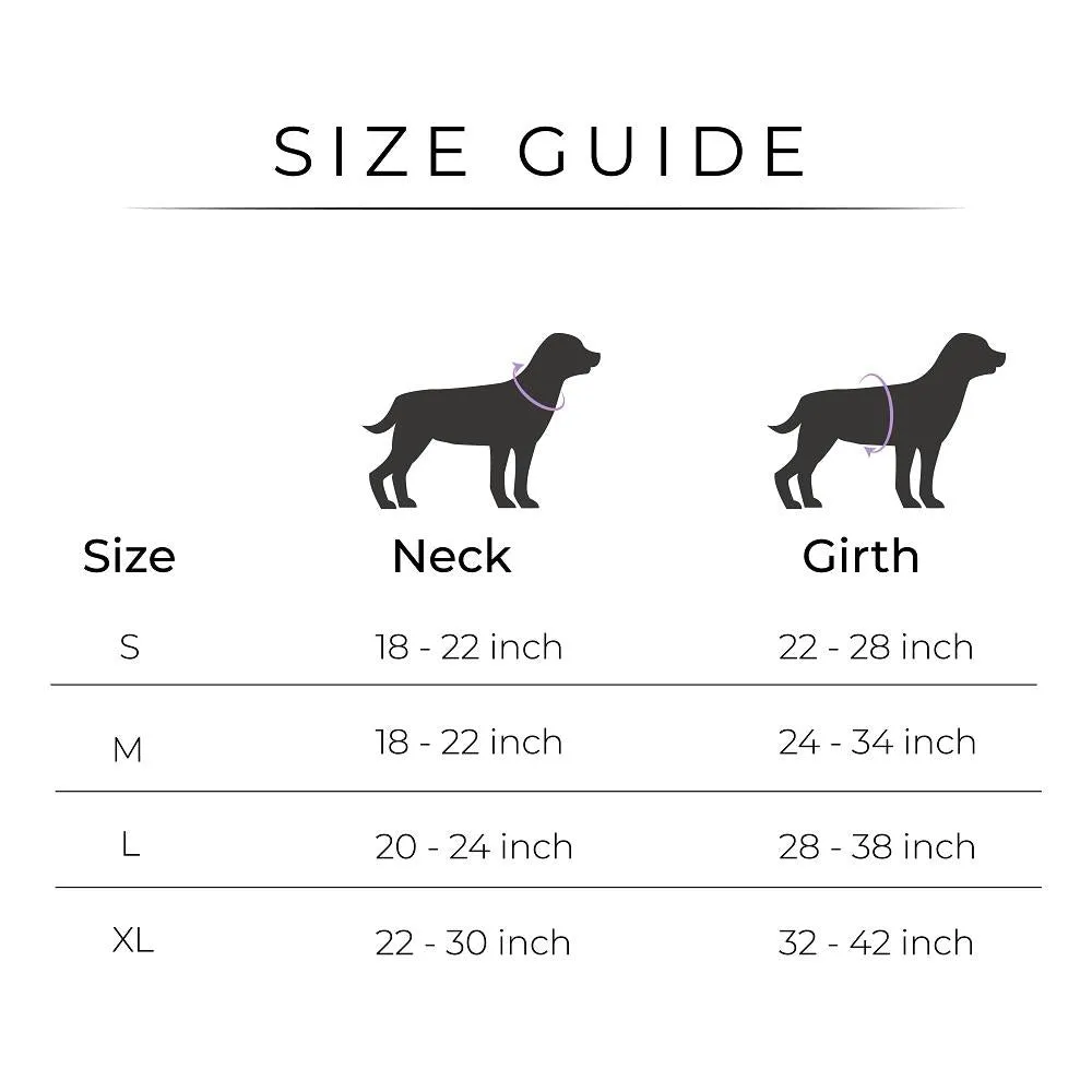 Dear Pet Double Trouble Orange & Purple Harness for Dogs