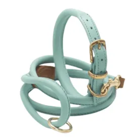 Dogs & Horses Rolled Leather Dog Collar and Lead Set Aqua